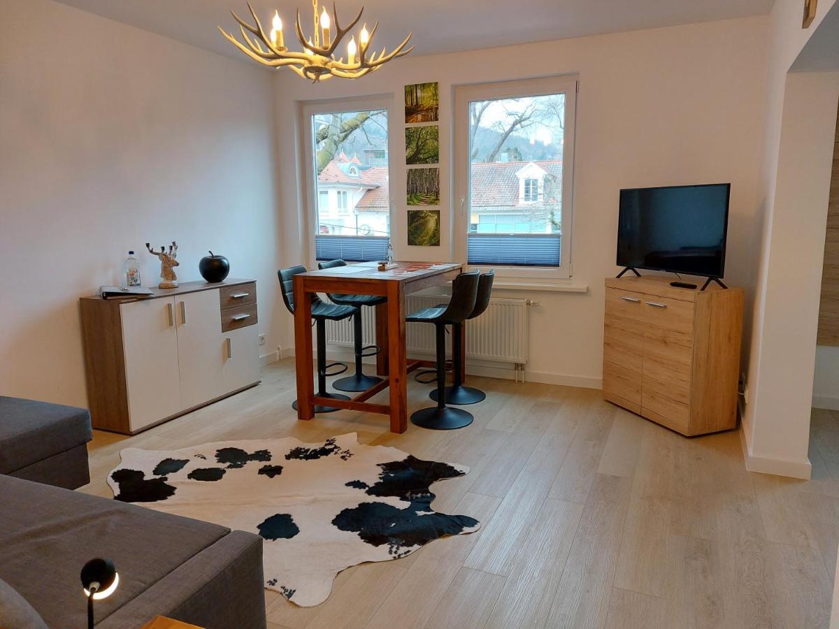 Ferienwohnung Am Jungbrunnen 2 Bad Harzburg Exteriér fotografie
